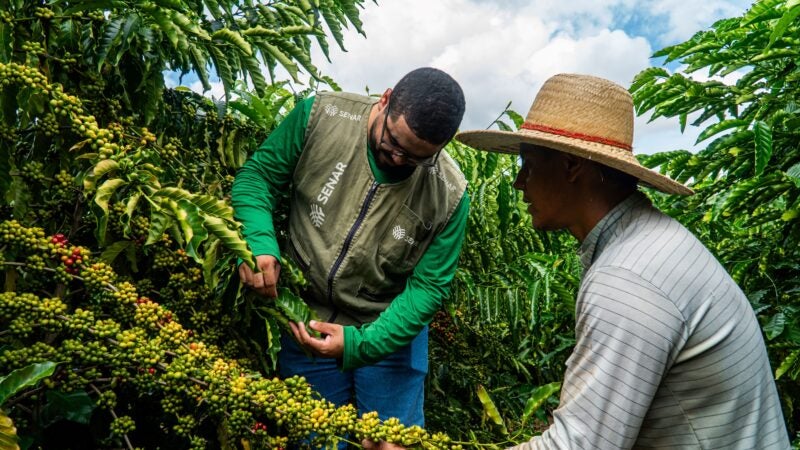 Com apoio do Senar/MT, cafeicultores de Juína melhoram produção e enxergam novos caminhos no campo