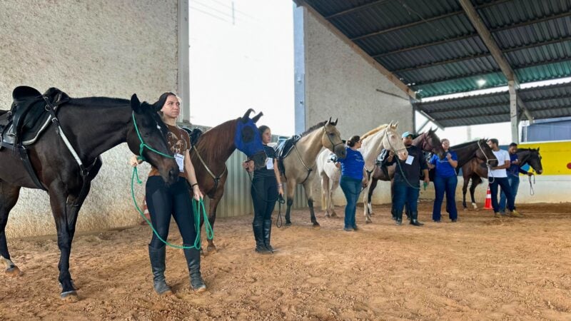 Profissionais da Equoterapia participam de curso de capacitação promovido pelo Senar/MT