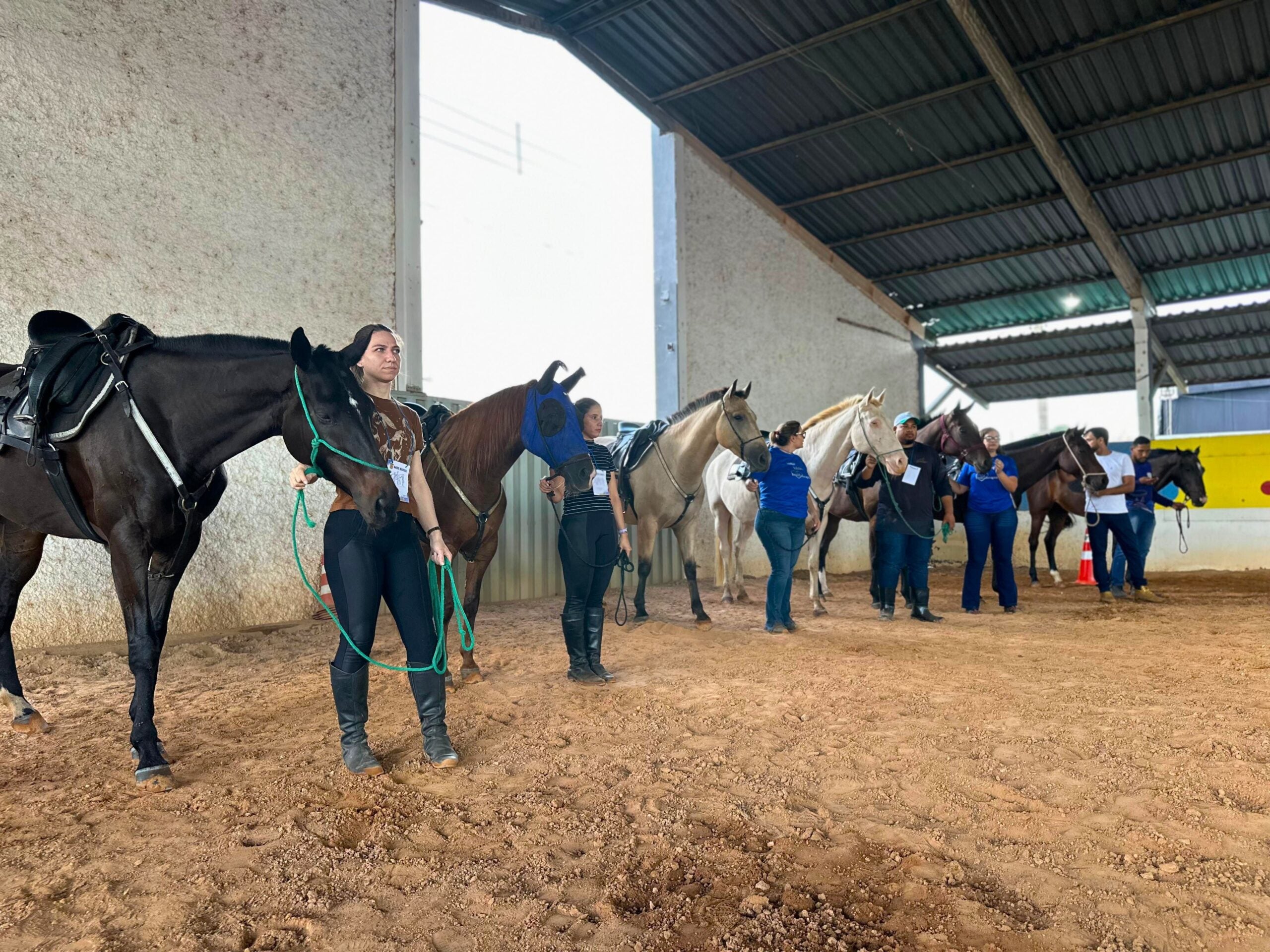 Profissionais da Equoterapia participam de curso de capacitação promovido pelo Senar/MT