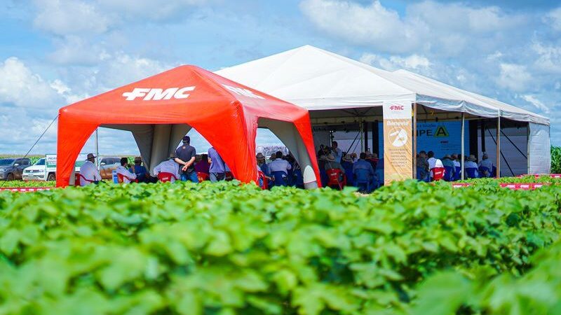 FMC impulsiona a inovação na cotonicultura com tecnologias de ponta no Tour Gigantes do Algodão 2025