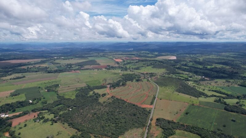 Fazenda da Matta reforça compromisso ambiental com preservação de mata nativa do Cerrado