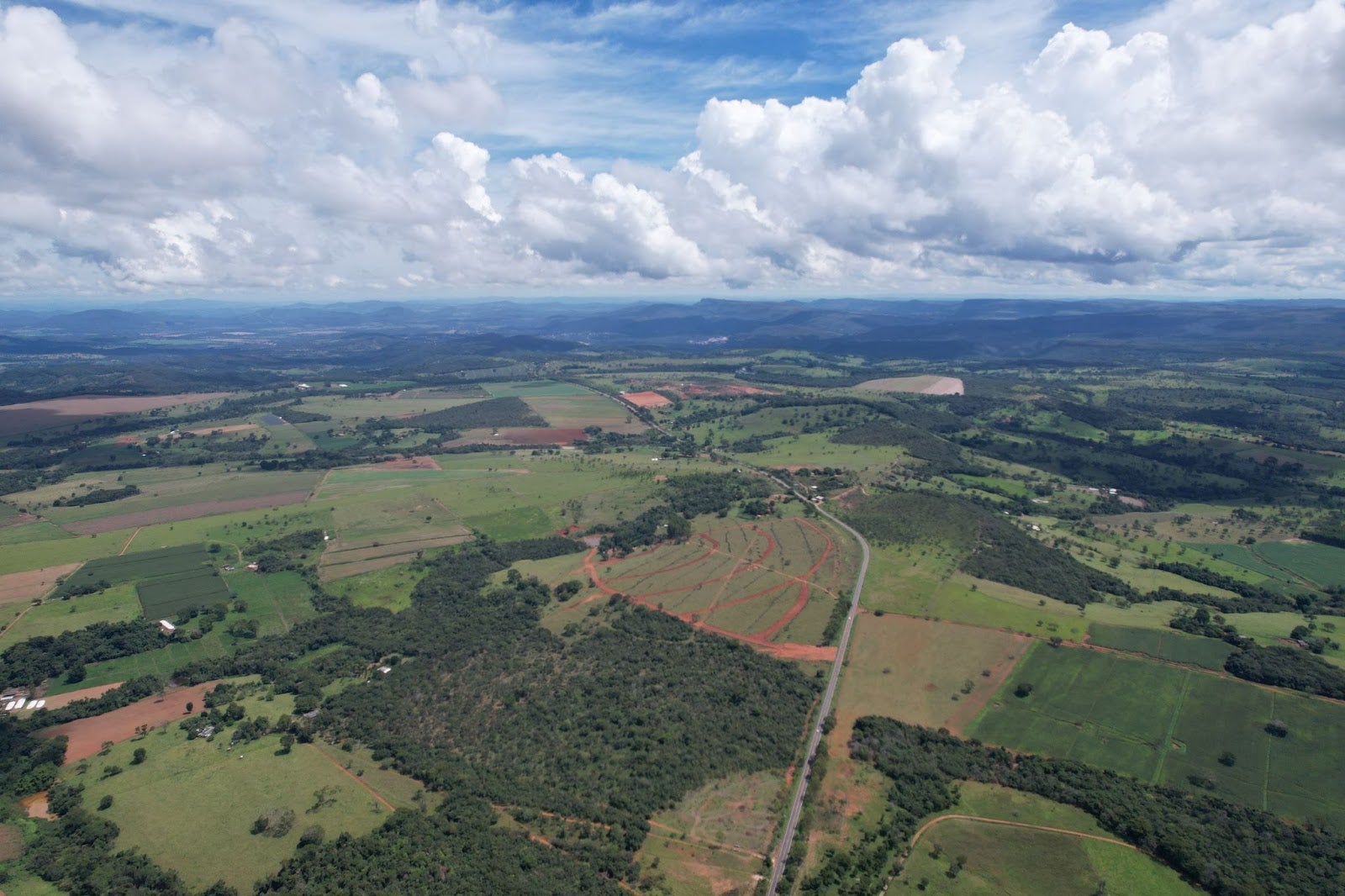 Fazenda da Matta reforça compromisso ambiental com preservação de mata nativa do Cerrado