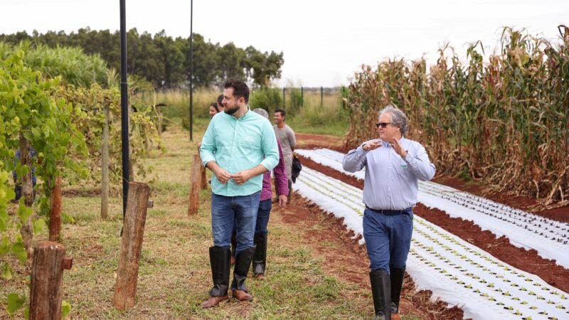 Senar/MT faz visita técnica ao Centro de Excelência Bovinocultura de Corte em Campo Grande
