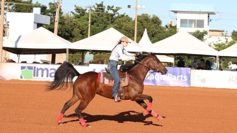 12ª Semana do Cavalo reúne mais de 220 mil pessoas e movimenta o setor agropecuário em Cuiabá