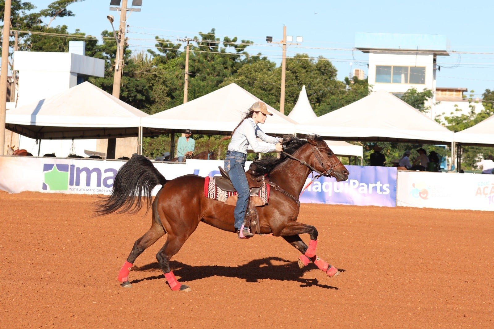 12ª Semana do Cavalo reúne mais de 220 mil pessoas e movimenta o setor agropecuário em Cuiabá