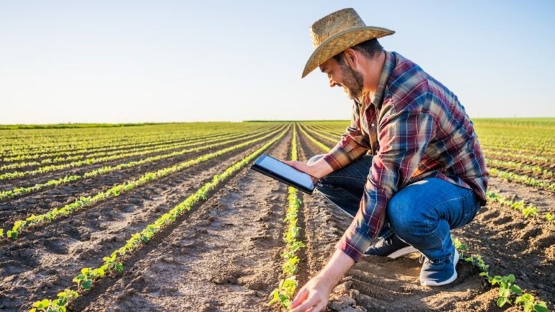 Tecnologia ajuda produtor a economizar com decisões mais assertivas