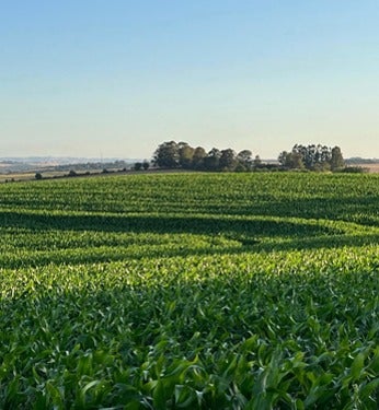 Com redesenho do sistema plantio direto, produtor de Passo Fundo no Rio Grande do Sul é referência na preservação do solo