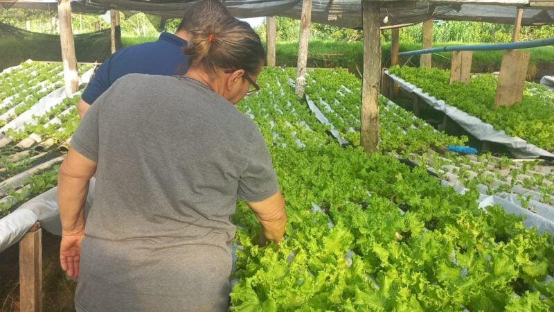 CAT Sorriso celebra 23 anos com incentivo à sustentabilidade e práticas conservacionistas no agro