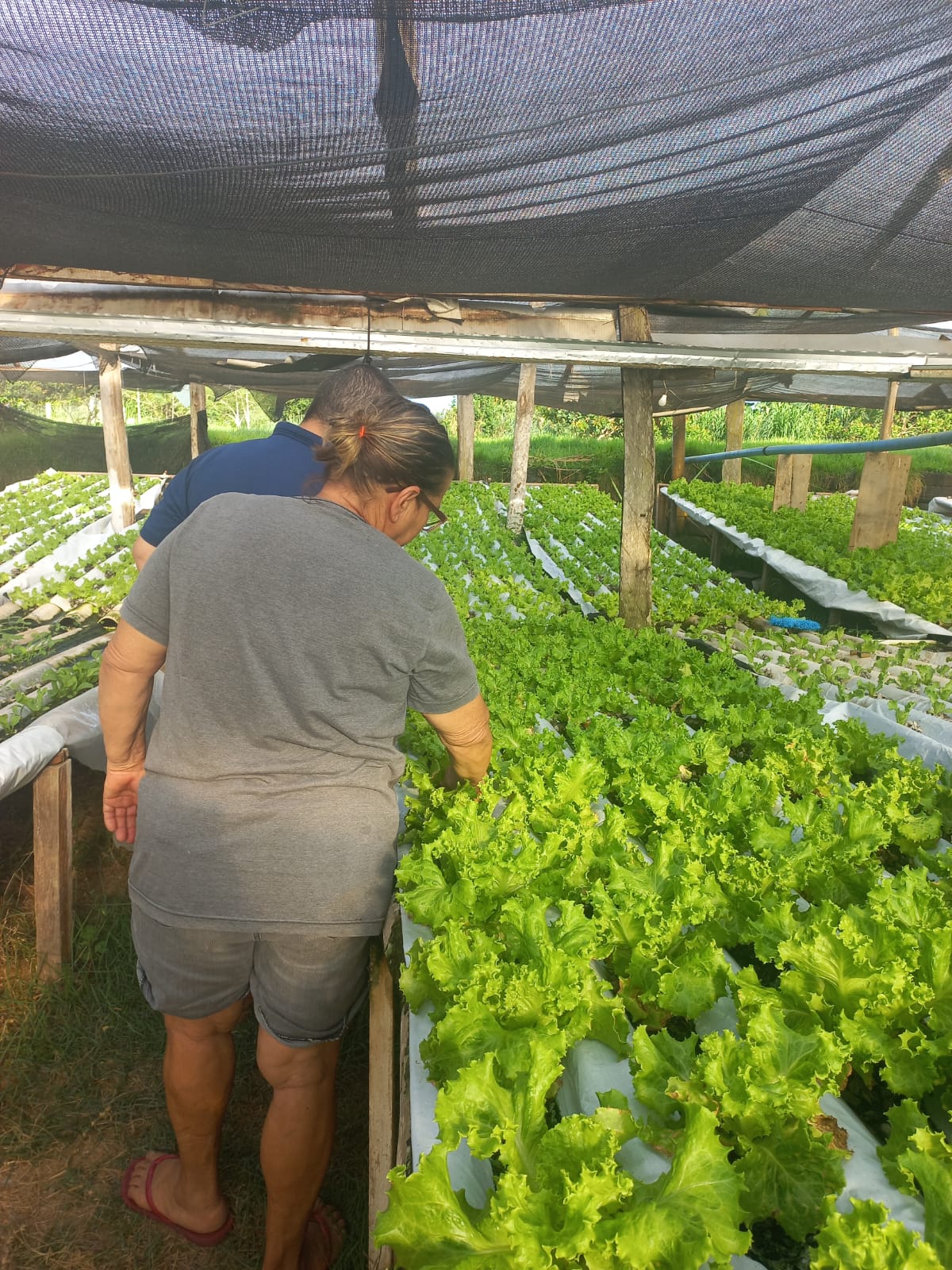 CAT Sorriso celebra 23 anos com incentivo à sustentabilidade e práticas conservacionistas no agro
