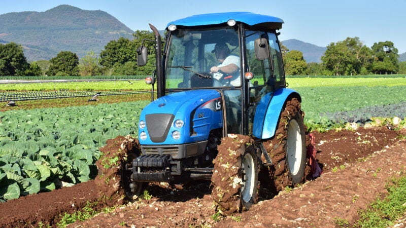 Agricultura familiar ganha protagonismo durante a Expointer