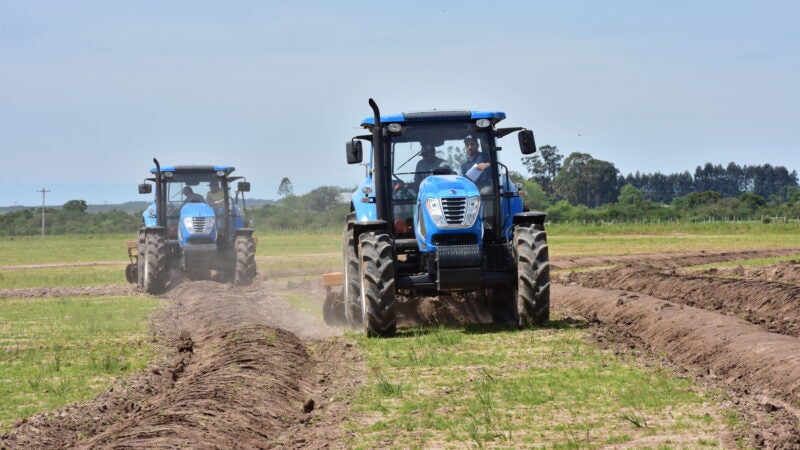 Manejo nas áreas de arroz e de grãos demandam tratores de maior potência
