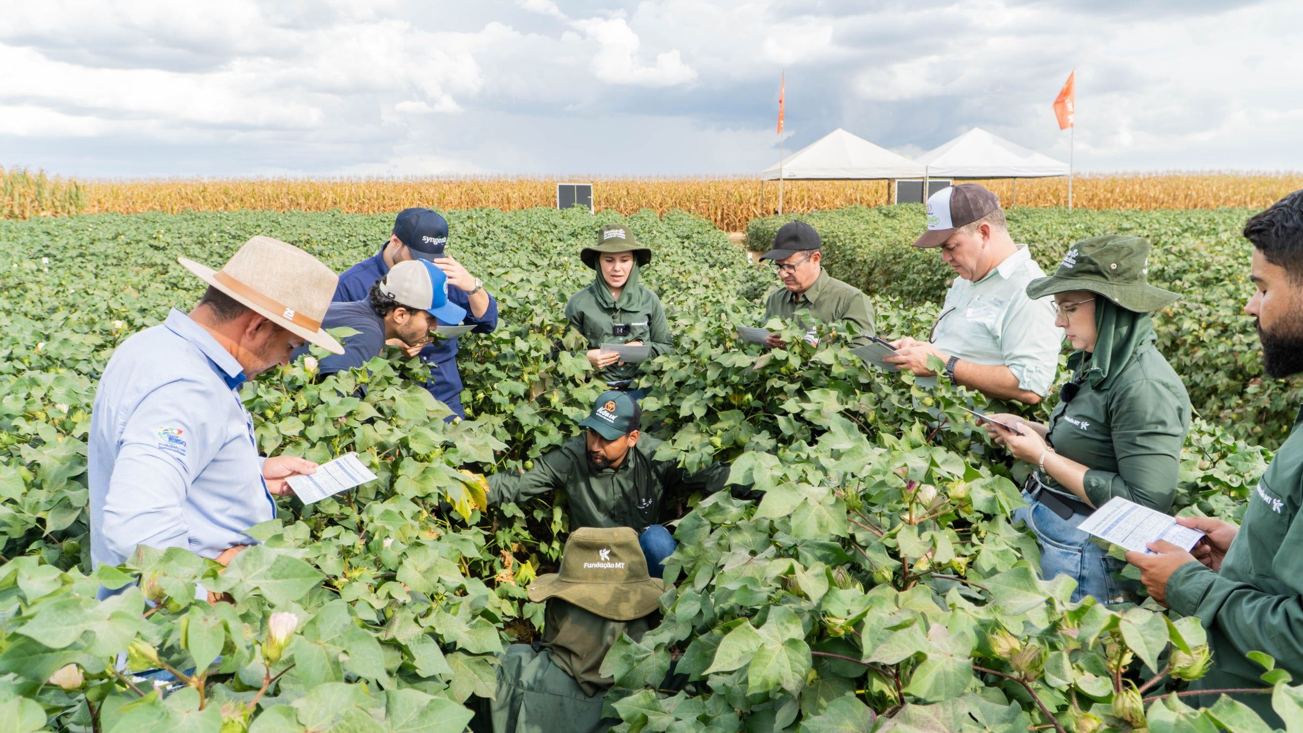 Fundação MT promove 17º Encontro Técnico do Algodão em Cuiabá com foco na inovação e desafios da cultura