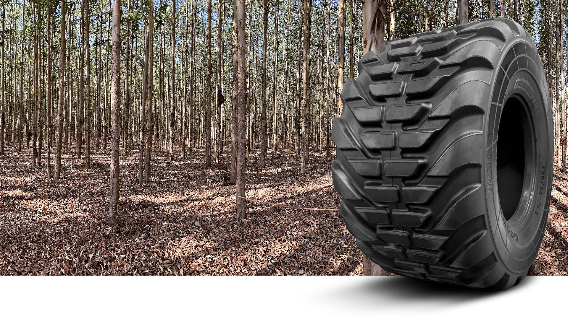 Mercado industrial de florestas plantadas, promove inovação e gera novos negócios no campo