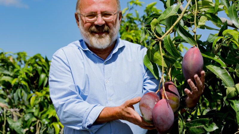 Adoção de tecnologia impulsiona o Brasil como destaque mundial na produção de frutas