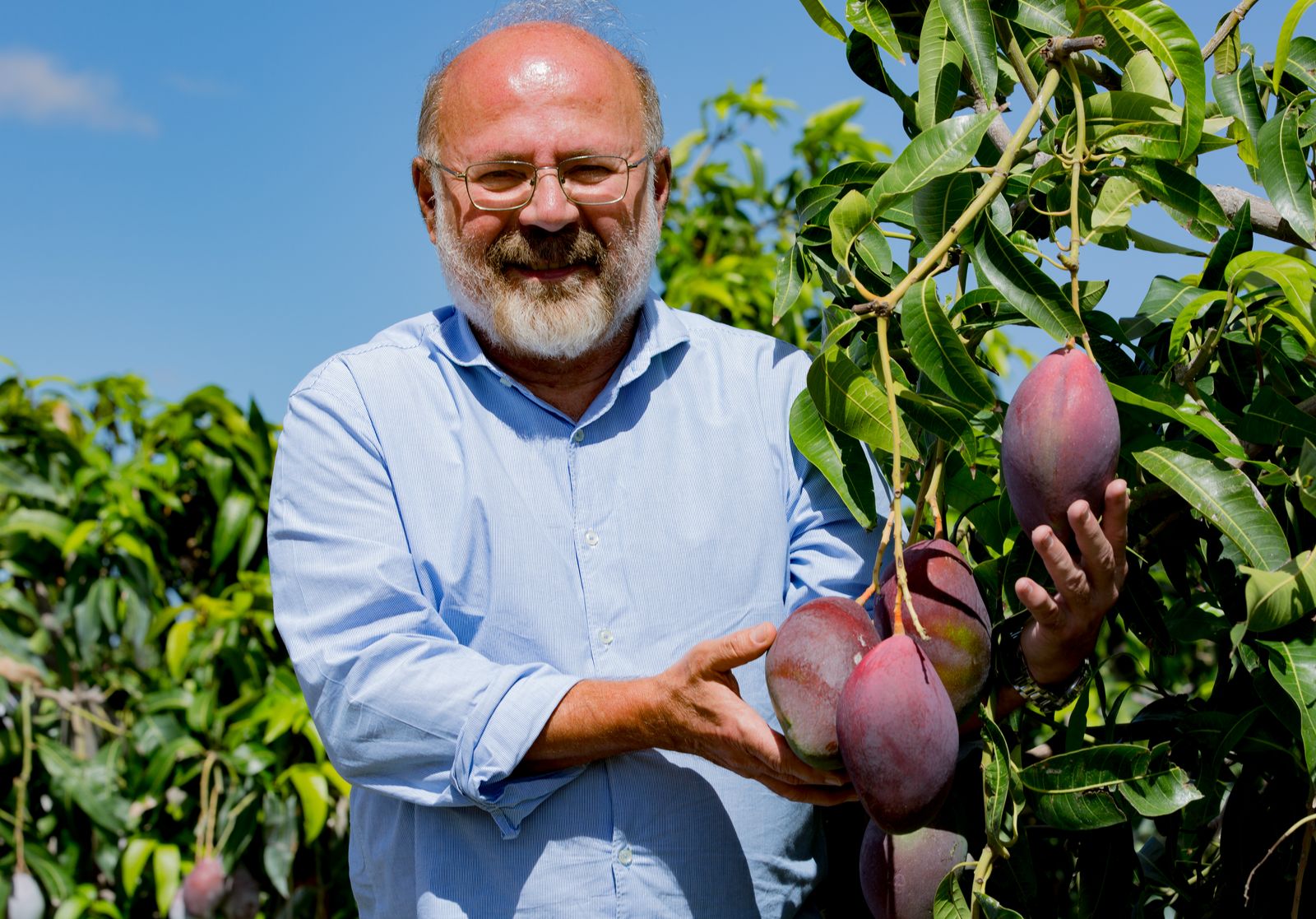 Adoção de tecnologia impulsiona o Brasil como destaque mundial na produção de frutas