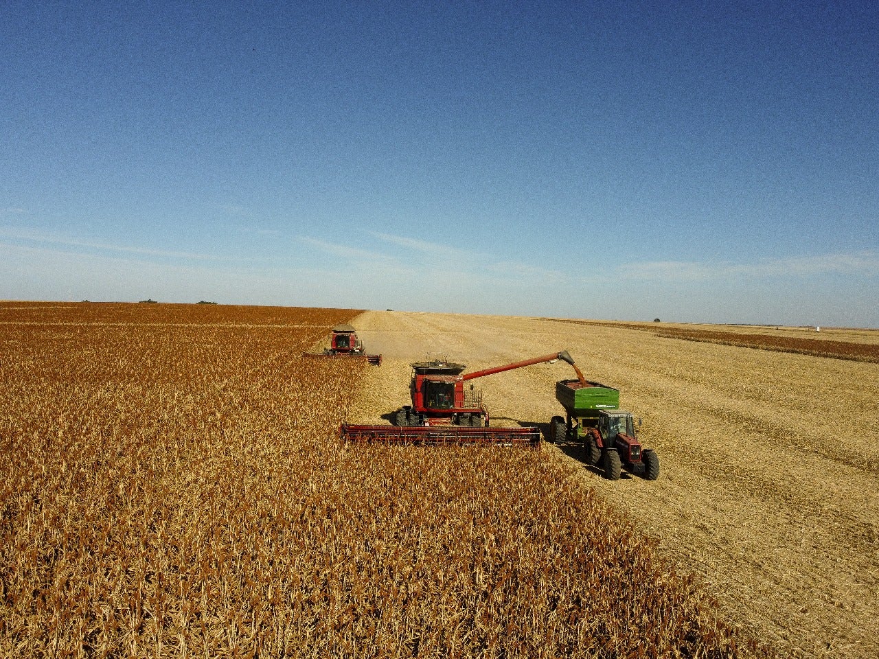 Acordo inédito para exportação de sorgo abre nova oportunidade para produtores brasileiros