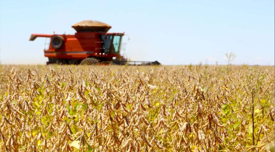 Estimativa de julho aponta safra recorde de 340,5 milhões de toneladas em 2025, alta de 16,3%