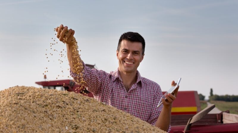Agtech lança central de inteligência de monitoramento e rastreabilidade de grãos