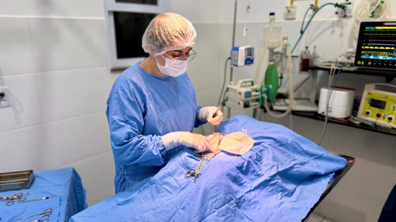 APAMS oferece castração gratuita para animais de famílias de baixa renda em Sinop