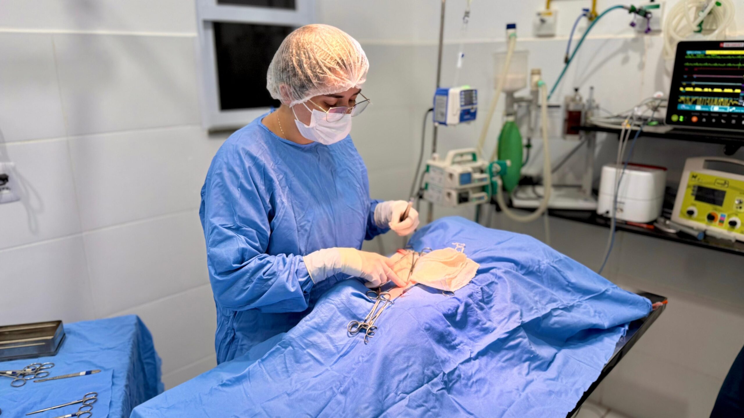 APAMS oferece castração gratuita para animais de famílias de baixa renda em Sinop