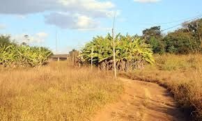 Começa prazo para declarar imposto sobre propriedade territorial rural