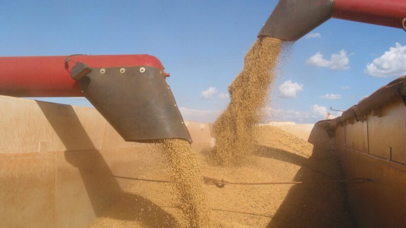 CADE suspende efeitos da Moratória da Soja após pedido da CNA; Famato ressalta relevância da decisão para produtores de MT