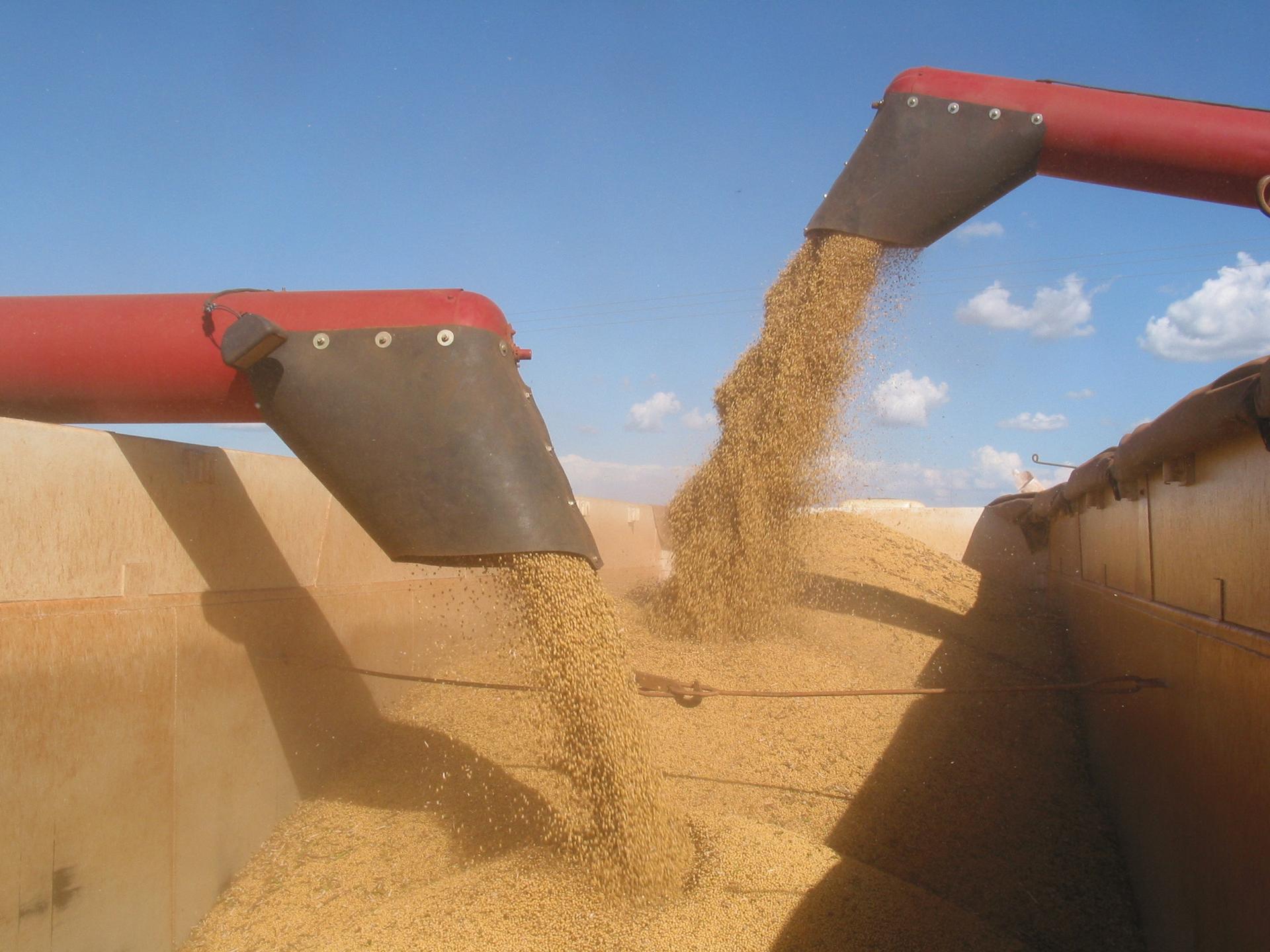 CADE suspende efeitos da Moratória da Soja após pedido da CNA; Famato ressalta relevância da decisão para produtores de MT