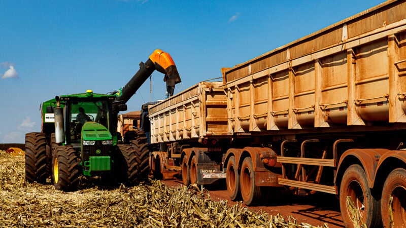 Mato Grosso finaliza colheita da 2ª safra de milho com recorde de produção