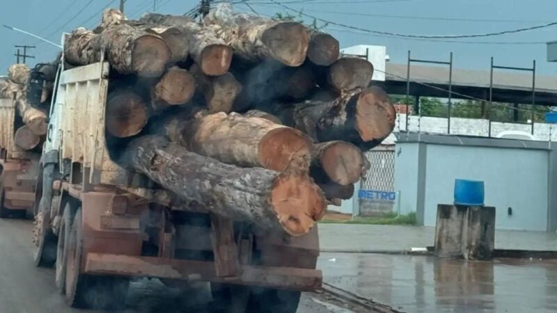 Câmara aprova requerimento cobrando explicações sobre suposta sabotagem em caminhão coletor de lixo e transporte irregular de madeira pela Prefeitura de Guarantã do Norte
