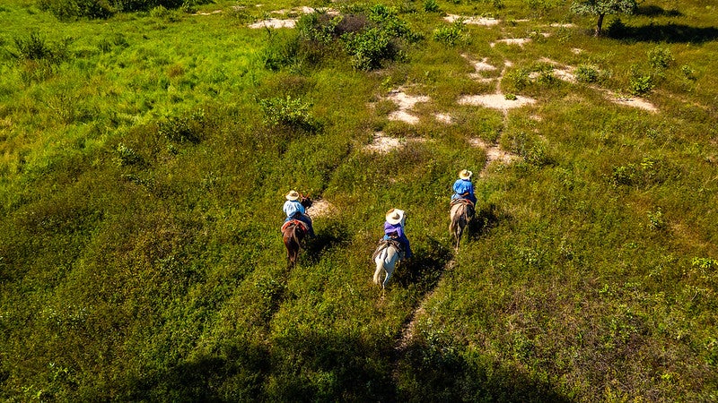 Produtores contam com apoio da Famato em consulta pública sobre ampliação da Reserva do Taiamã