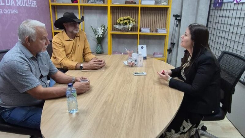 Câmara de Guarantã do Norte busca combatera violência  contra a mulher com inspiração em projeto estadual