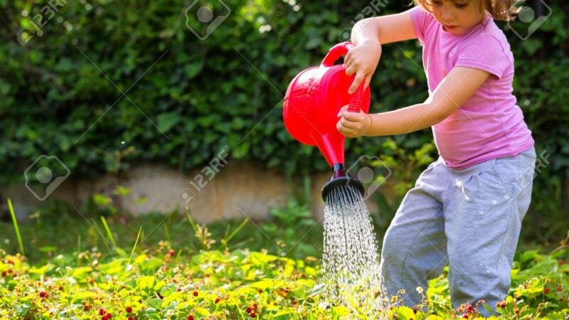 Como as Escolas Podem Transformar a Consciência Ecológica