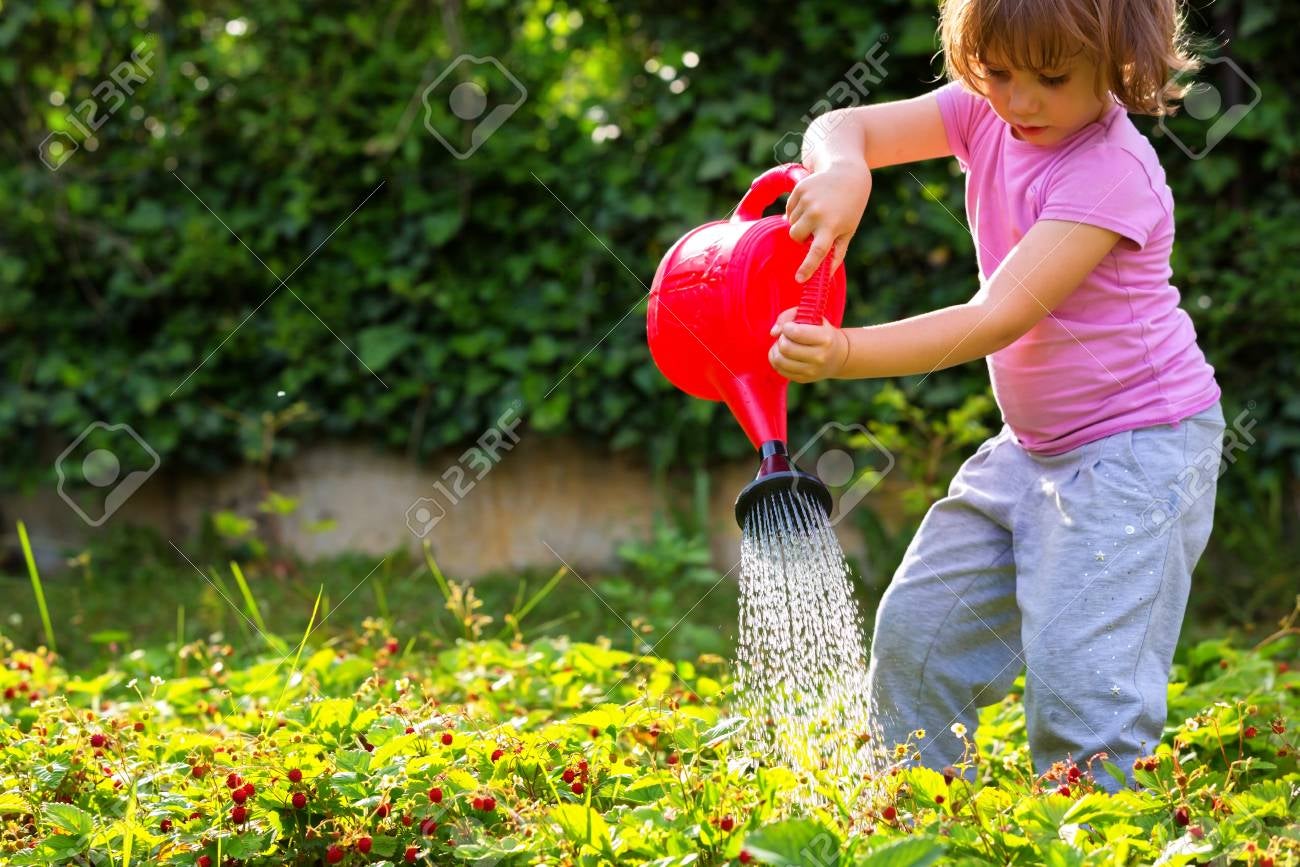 Como as Escolas Podem Transformar a Consciência Ecológica