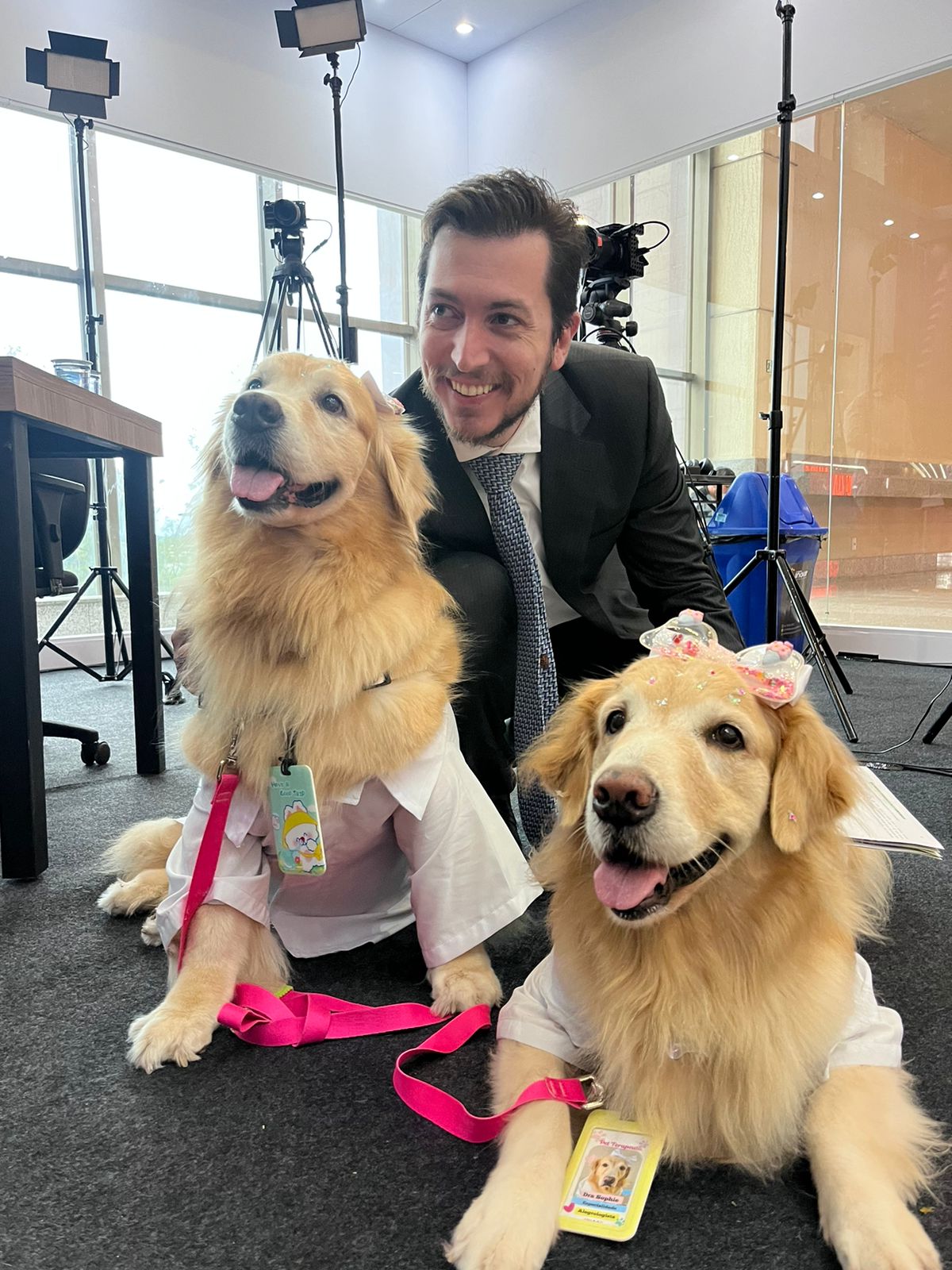 Cães são aliados contra a depressão: benefícios e cuidados dessa relação