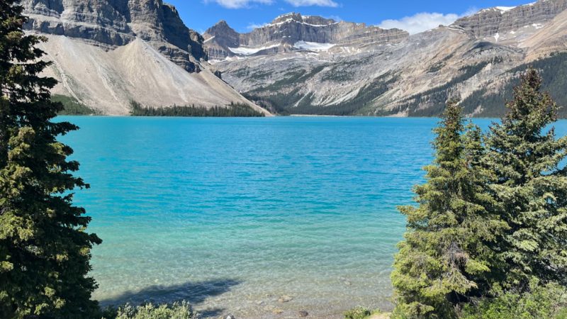 Dupla cidadania de vários países facilita o processo para quem deseja trabalhar no Canadá