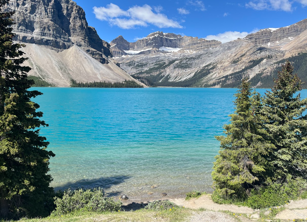 Dupla cidadania de vários países facilita o processo para quem deseja trabalhar no Canadá