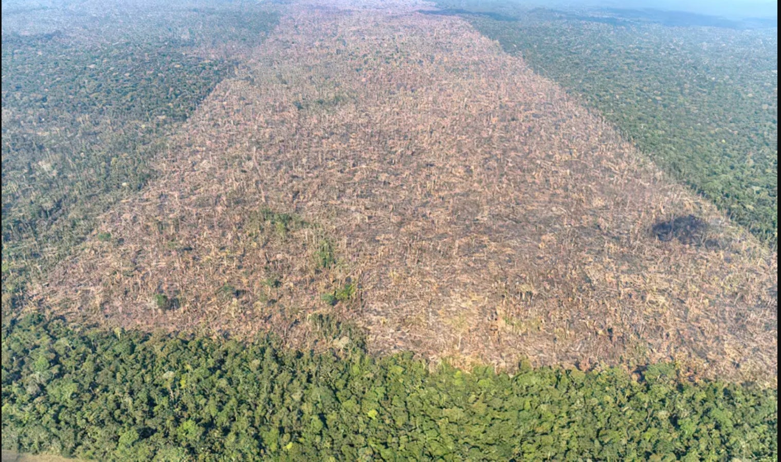Justiça Federal e TRF1 anulam R$ 1,5 milhão em multas do IBAMA contra maior desmatador da Amazônia