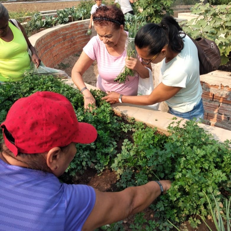 Sesc Balneário Dr. Meirelles oferece oficina de culinária sustentável “Sabores da Horta”