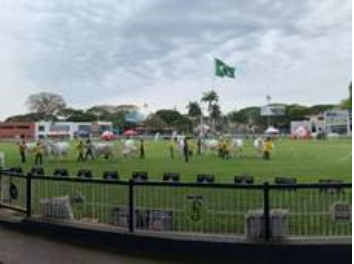 Expoinel 2025 acontece de 13 a 19 de outubro, em Uberaba (MG)