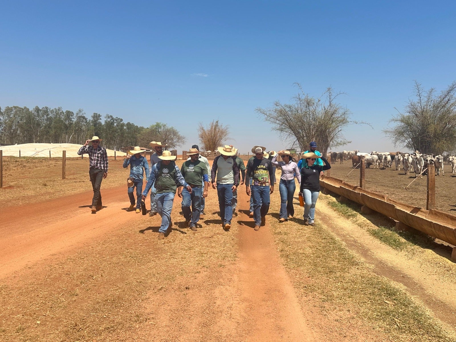 Alunos de Zootecnia dos Polos Cuiabá e Rondonópolis do Senar/MT participam de visitas técnicas