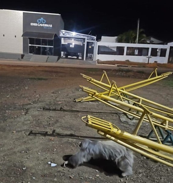 Corpo de Bombeiros resgata (bicho-preguiça) em uma praça no bairro Guaranorte em Guarantã do Norte