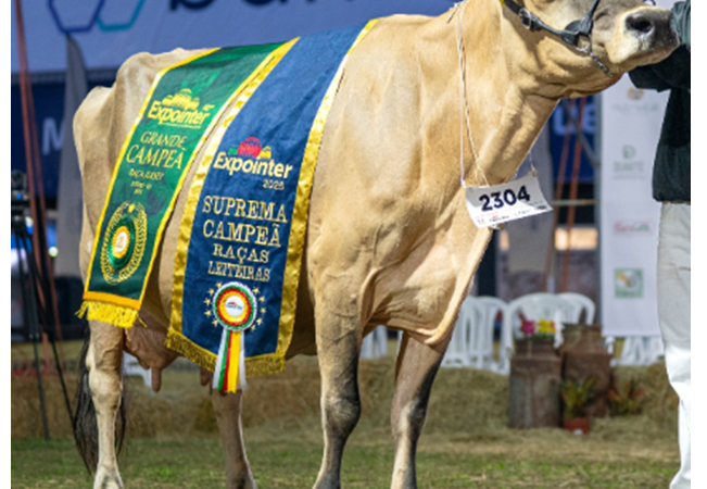 Genética da Alta é destaque na Expointer, com bicampeonato e vitória em diversas categorias