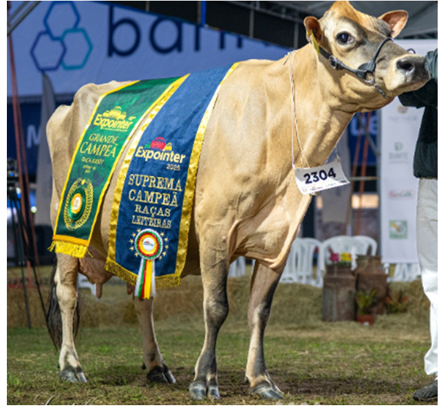 Genética da Alta é destaque na Expointer, com bicampeonato e vitória em diversas categorias