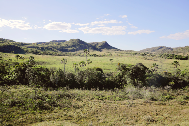 Intensificação da seca no bioma é monitorada pela Defesa Civil Nacional