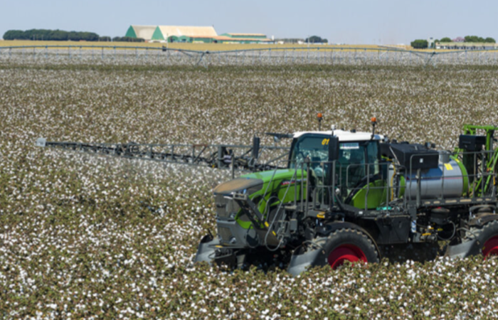 Bicudo-do-algodoeiro: pulverização é etapa estratégica no combate à praga que pode comprometer mais de 70% da produção da fibra