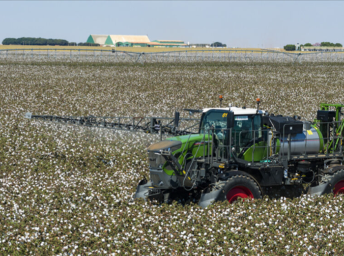 Bicudo-do-algodoeiro: pulverização é etapa estratégica no combate à praga que pode comprometer mais de 70% da produção da fibra