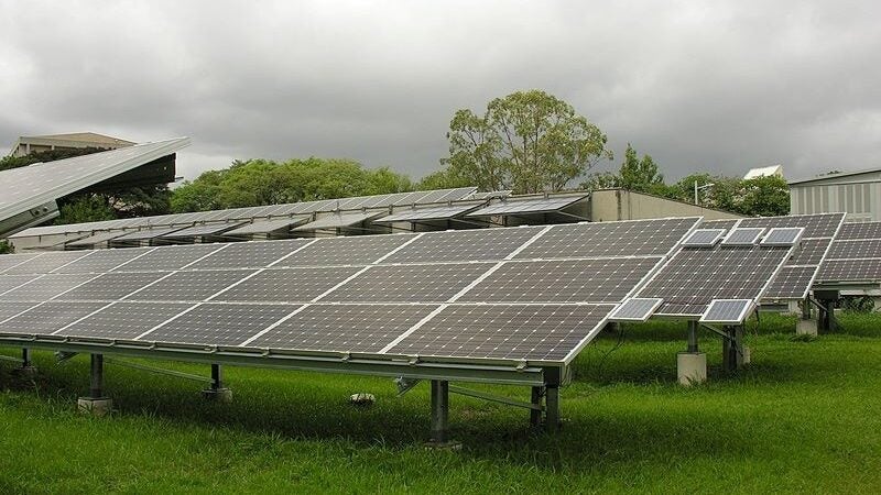 Sicoob firma parceria com o Banco Interamericano de Desenvolvimento para ampliar portfólio de crédito sustentável