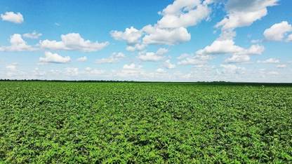 A busca pela estabilidade climática começa no solo