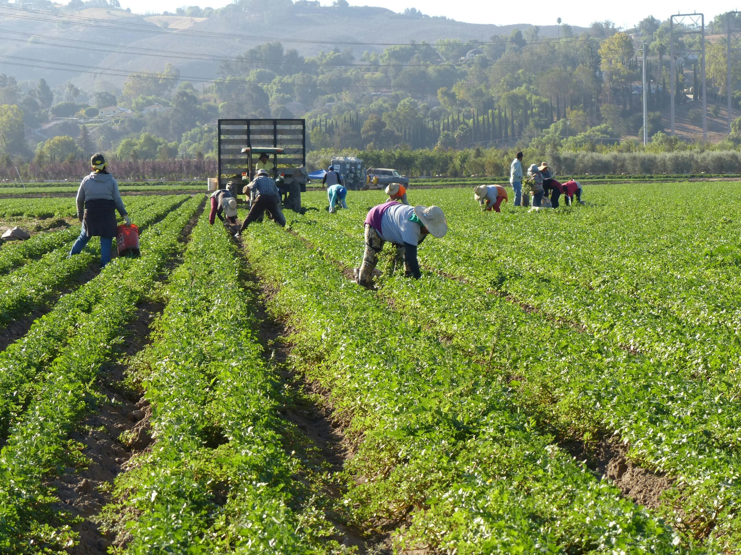 Goiás abre plantio da soja com expectativa de novo recorde
