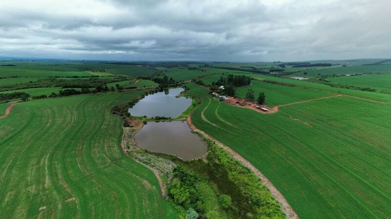 Classe produtora deve ficar atenta a erros em autos de infração ambiental